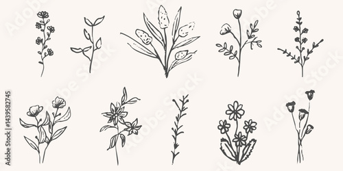 Wild forest herbs and flowers vintage textured chalk drawing sketch. Line grass retro flora silhouette. Crayon doodle hand drawn