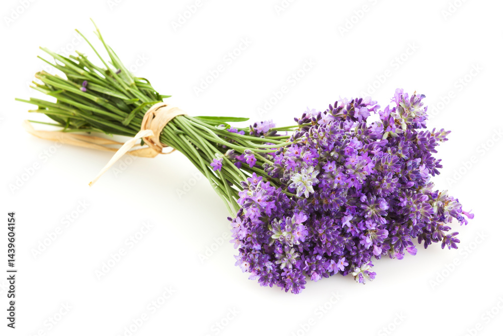 Fototapeta premium Lavender Bouquet on white background