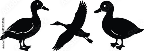 Ducks Silhouettes One Flying Two Standing