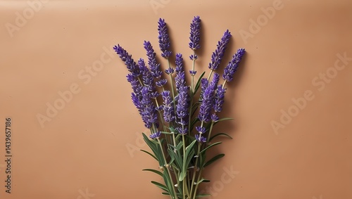 Obraz na płótnie Lavender bouquet on a warm brown background celebrates nature's beauty and tranquility w salonie