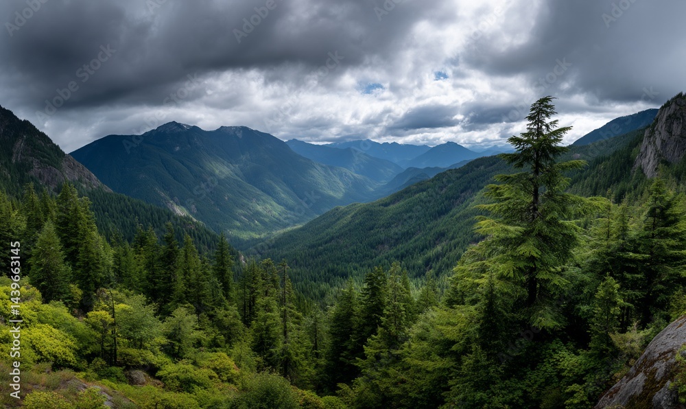 Fototapeta premium Mountain valley, lush forest, dramatic clouds, scenic view, nature photography, outdoor exploration