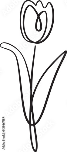 minimalistic continuous line art of a tulip flower with delicate petals black linear botanical sketch elegant vector floral illustration simple design isolated on a white background