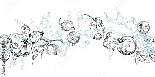 Currant gooseberry flying in water splash with green leaves and dew drops, hand drawn in vector ink, ripe summer garden berry. Isolated seamless banner for home preserves, stationery, recipe book