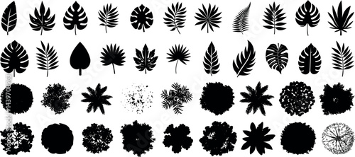 Leaf silhouette, tree top view, tropical plant, and foliage icon collection. Perfect for landscape design, architectural plans, and botanical artwork vector elements on a white background