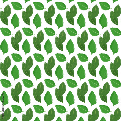  Leaves or herbal on white background. Vector pattern. Fresh greenery. Flat style