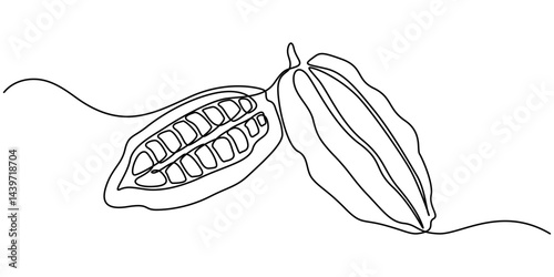Cocoa beans on a branch, continuous single one line art hand drawing sketch logo, Continuous one line drawing of whole healthy organic cocoa bean for plantation logo identity. Fresh cacao concept.