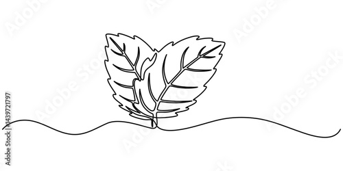 Continuous one line drawing of mint. Modern style vector illustration on isolated background, Mint, spearmint vector illustration.Background for label design. One continuous line art drawing.