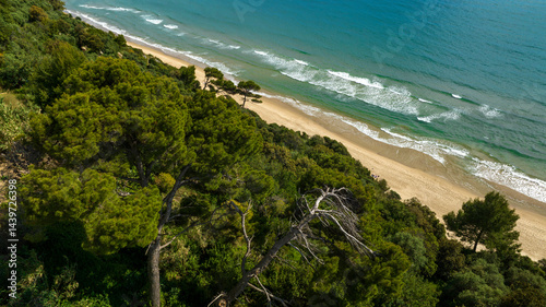 Obraz na płótnie Forest with trees near a pristine beach. In the background the blue sea of the ocean. w salonie