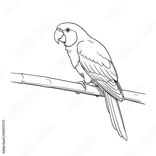 Outline Illustration of a Tropical Bird on a Branch, Simple Elegance on a White Background