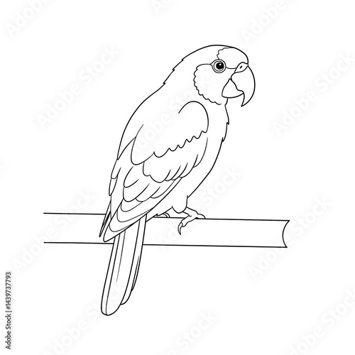 Outline Illustration of a Tropical Bird on a Branch, Simple Elegance on a White Background