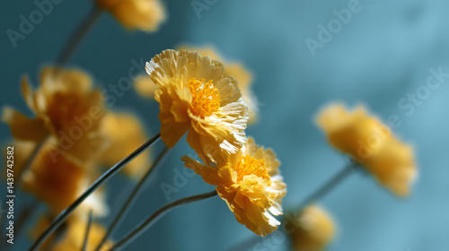 Delicate yellow flowers set against a light blue background.