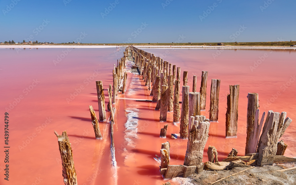 Obraz premium Wooden Posts in Pink Salt Lake
