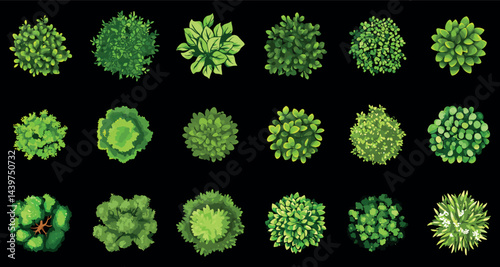 Top view green bushes shrubs and trees set. Architectural botanical landscape garden design plan floor plants. Eco flora park decoration element. Cartoon style vector clipart collection