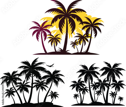 Silhouette Palm Trees on a Tropical Island