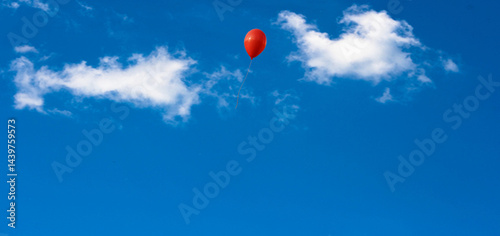 balloons in the blue sky