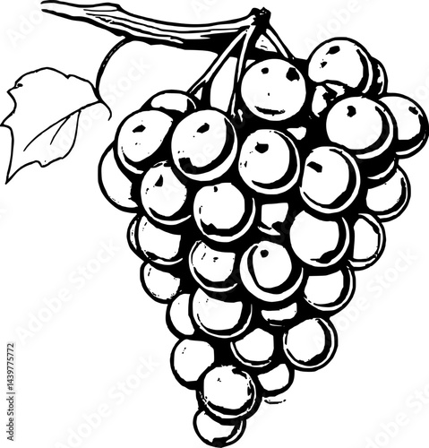 Stylized Illustration Of A Cluster Of Deep Red Grapes With Branch And Single Leaf Artwork
