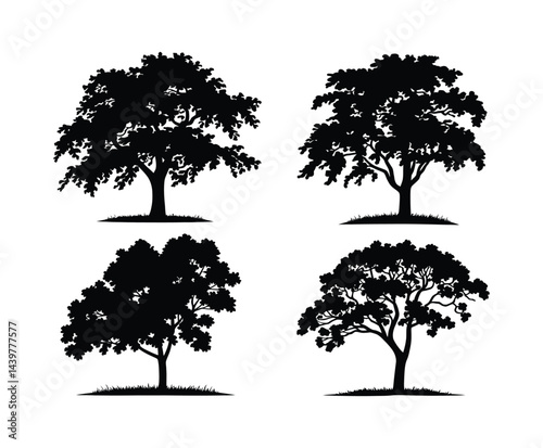 Elm Tree Silhouette Collection Vector Template