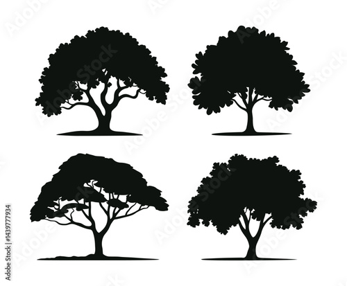Elm Tree Silhouette EPS Vector Template on White Background