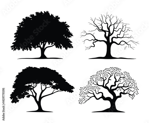 Silhouette of Tall Elm Tree in Vector Format