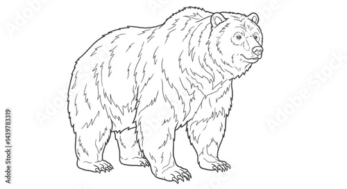 Powerful Grizzly Bear Standing Illustration for Your Adult Coloring Hobby