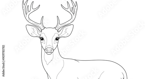 Shy Deer with Antlers Design for Tranquil Adult Coloring Sessions