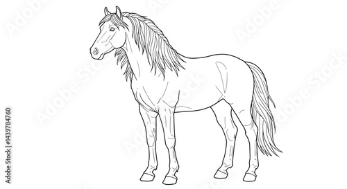 Elegant Proud Stallion Horse Line Art Ready for Adult Coloring Fun
