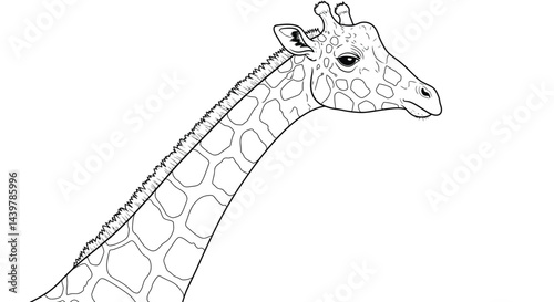 Detailed Giraffe Patterned Neck Adult Coloring Template Illustration