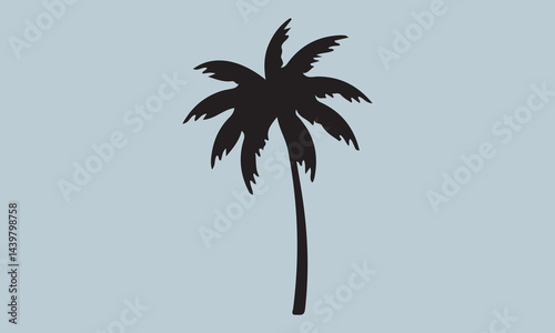 silhouette of palm tree