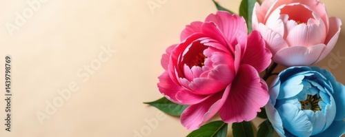 Close-up of red and blue peonies on light beige , art, flower