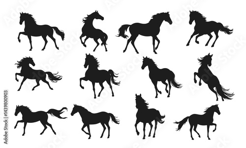Horse silhouette collection, wild running horse, galloping horse vector, black horse outline, stallion graphic
