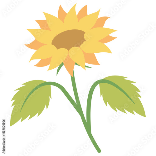 sunflower isolated on white