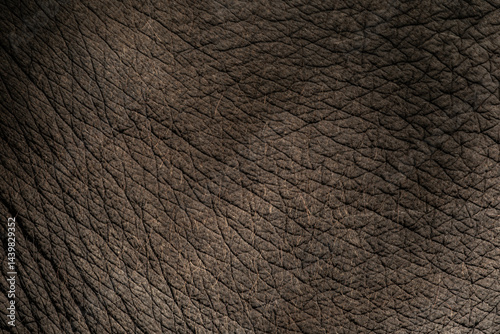Billede på lærred The background pattern of the elephant skin is dark black