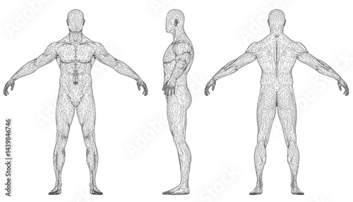 Three figures are shown in a black and white illustration. The figures are all standing in a line, with the middle figure being the tallest. Male without face. Front, side, back view