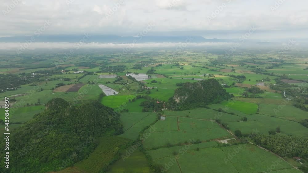 Scenic rice fields and mountain views in the rural heartland of Central Thailand — a peaceful blend of agriculture and natural beauty. Scenic rice fields and mountain views in the rural heartland of Central Thailand — a peaceful blend of agriculture and natural beauty.