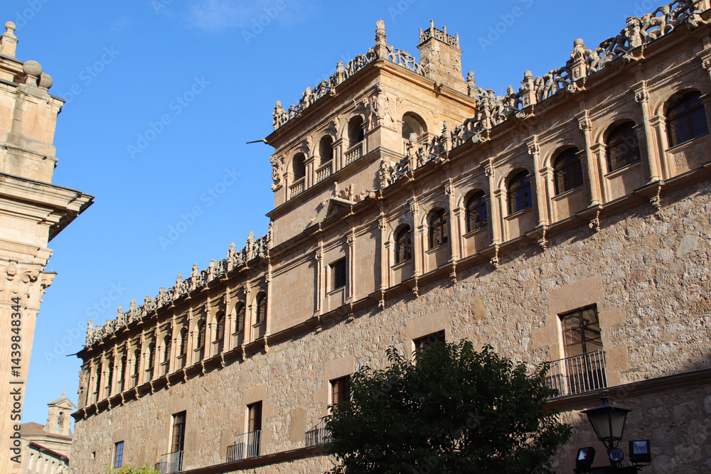 Fototapeta premium medieval palace (monterrey) in salamanca in spain 