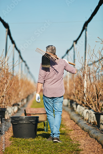 Obraz na płótnie Man with gardening tools for maintaining blueberries organic farm. w salonie