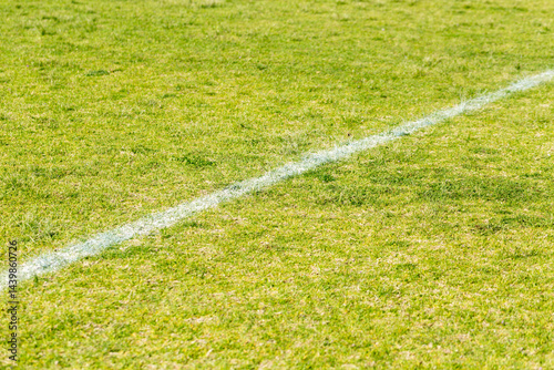 White line on grass on playing field