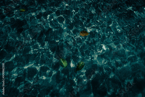 Obraz na płótnie dark water with leaves w salonie
