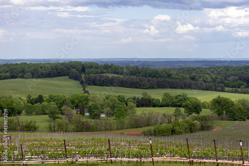 Wallpaper Mural Central Virginia rolling hills landscape with blue sky and clouds Torontodigital.ca