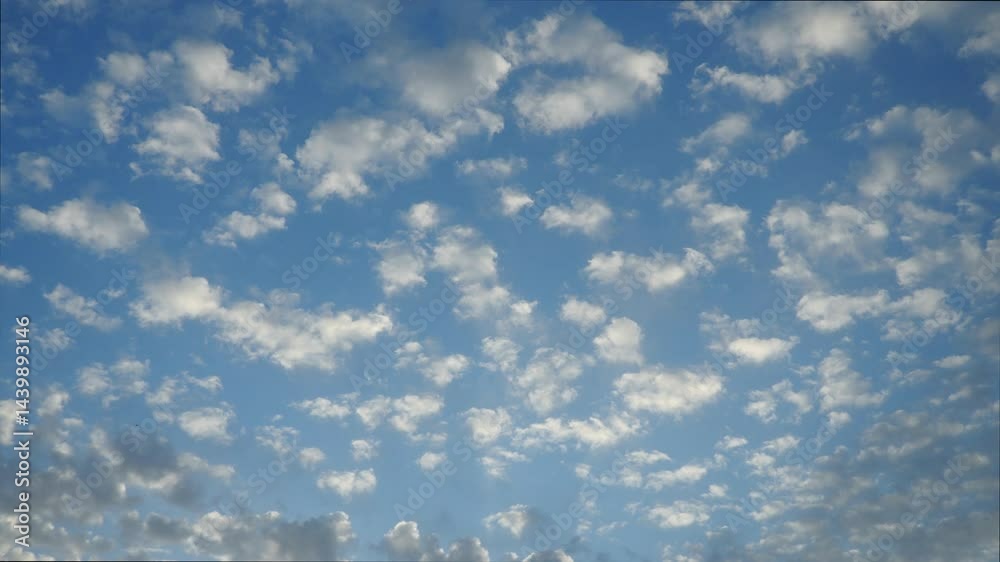 Time lapse altocumulus high cumulus heaped cloud stratocumuliform. Globular masses or rolls in layers or patches. Cumuliform stratocumuliform clouds, altocumulus signifies convection. Blue sky