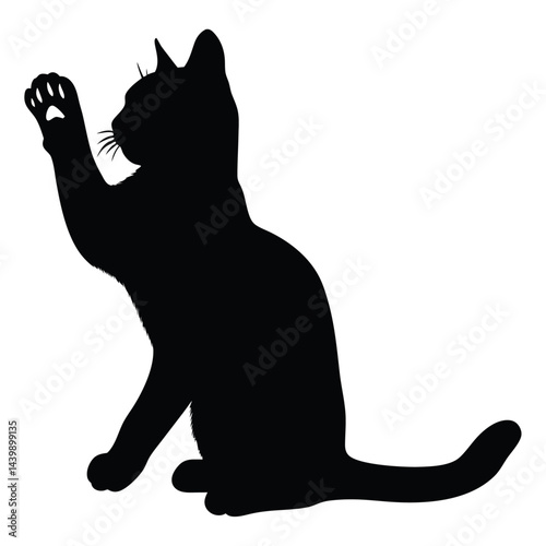 cat rise hand silhouette
