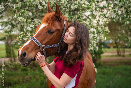 Young woman takes horse on leash for walk from stables photo