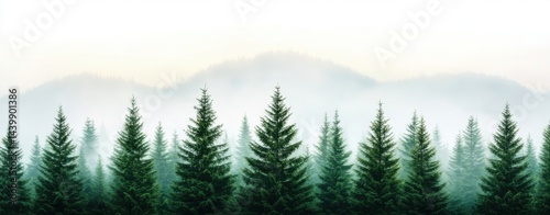 Serene misty mountain landscape featu a majestic silhouette of evergreen trees in a lush forest creating a tranquil and peaceful scene perfect for nature-themed designs.