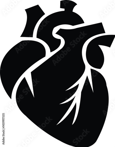 anatomical heart