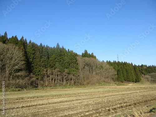 早春の農村風景