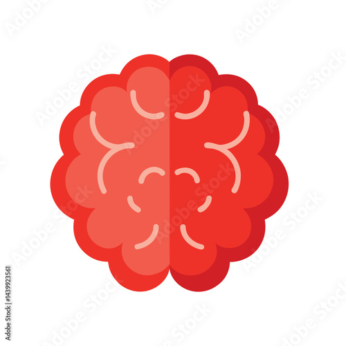 brain organ icon on white background