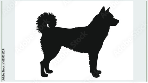 vector illustration of a dog