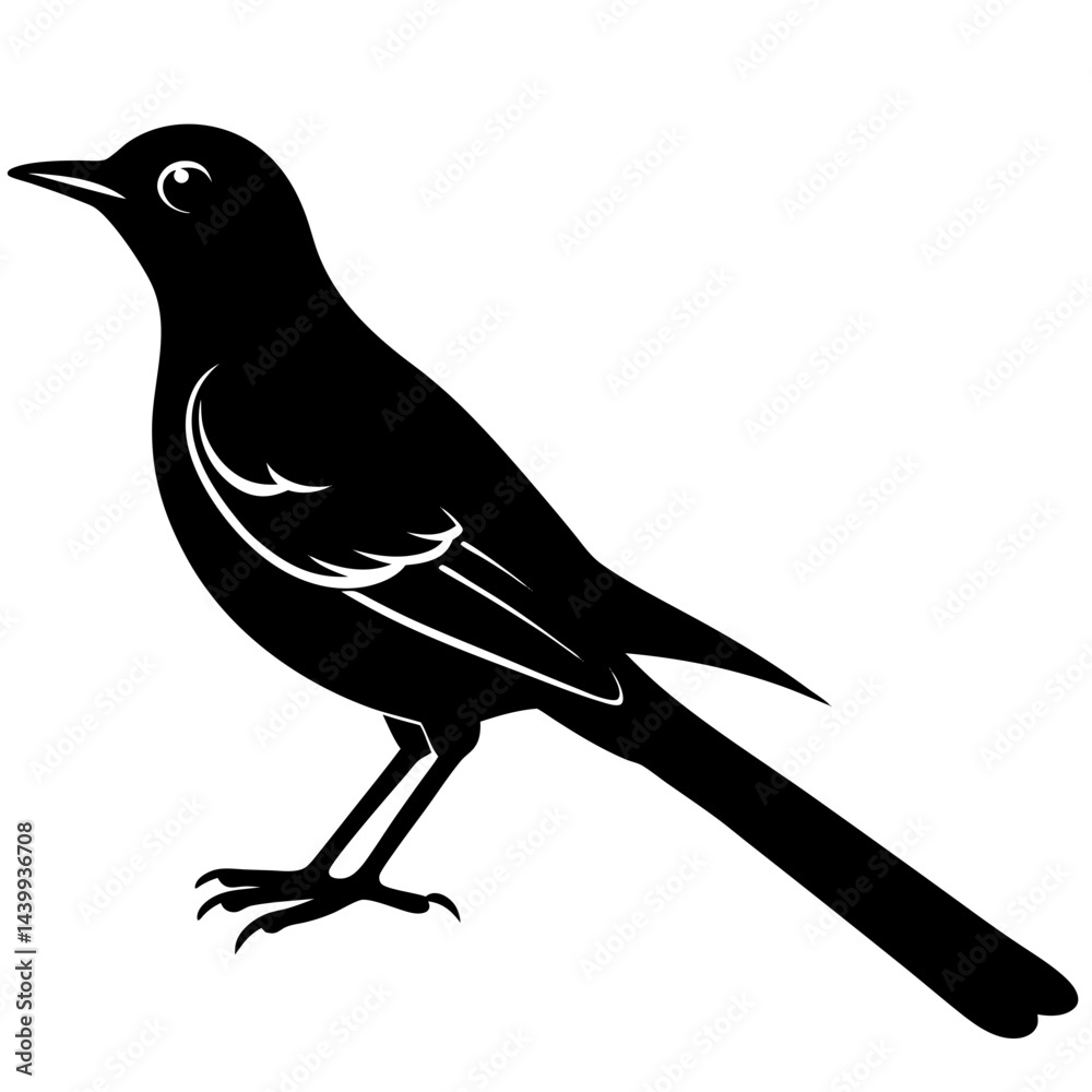 Obraz premium Mockingbird Silhouette vector illustration