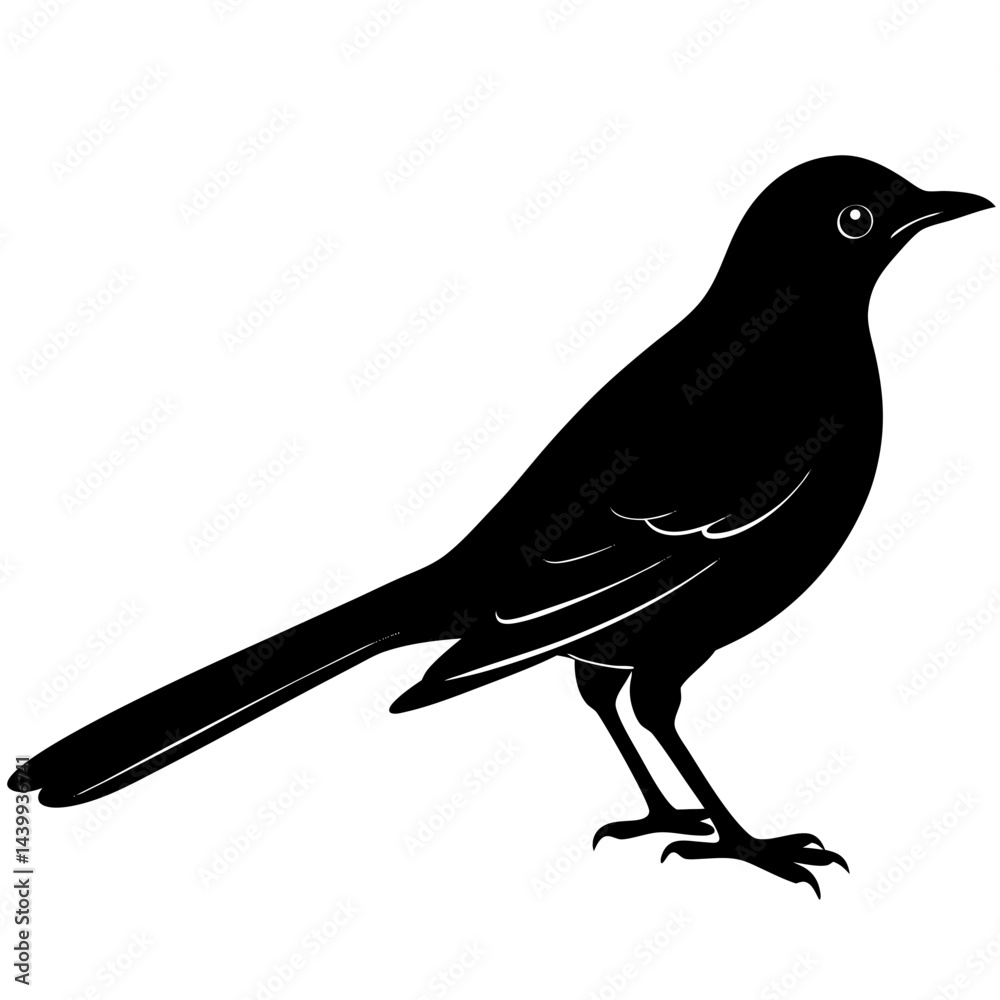 Obraz premium Mockingbird Silhouette vector illustration
