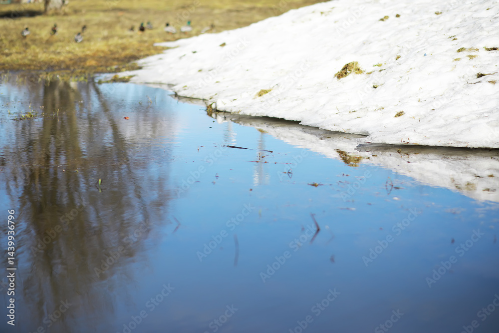 Melting Snowbank Reflecting in Calm Water with Gradual Spring Thaw and Flock of Birds in Background Melting Snowbank Reflecting in Calm Water with Gradual Spring Thaw and Flock of Birds in Background